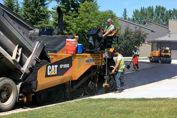 Best Driveway Paving Near Me  in Clifton, AZ